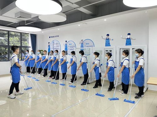 以管理标准化推动服务标准化 轻喜到家重塑家政服务品质新标杆