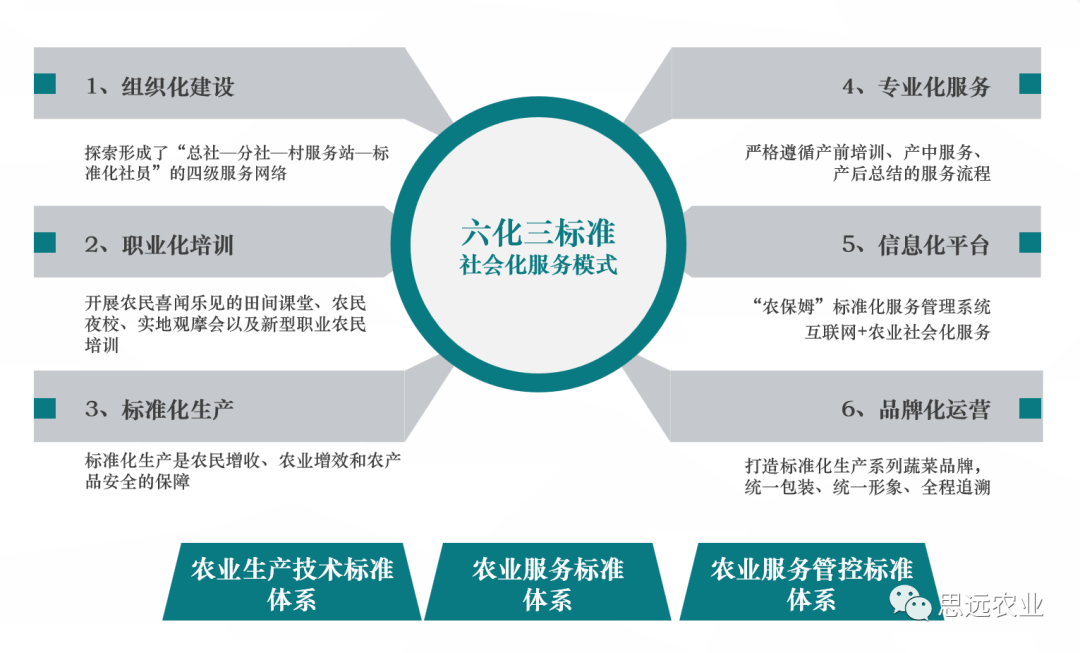 喜讯:思远农业入选全国农业社会化服务典型案例 诠释标准化服务新高度